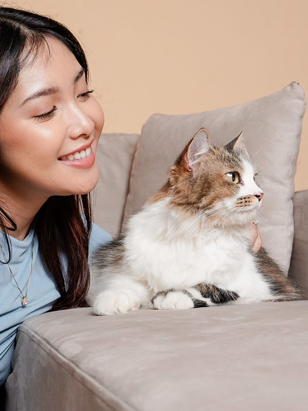 Pets & Animals